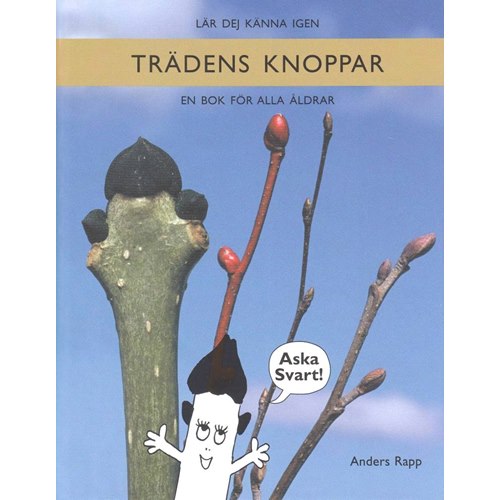 trädens knoppar - bok om trädens knoppar