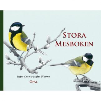 Stora mesboken - fågelbok för barn