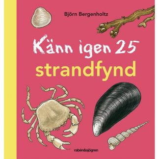 Känn igen 25 strandfynd