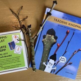 Trädens knoppar