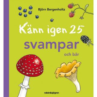 Känn igen 25 svampar och bär