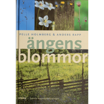 Ängens blommor