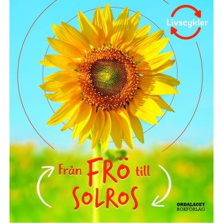 Från frö till solros