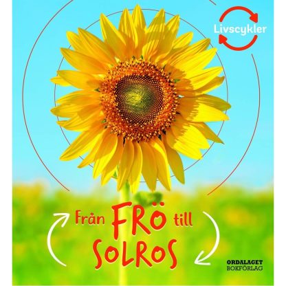 Från frö till solros